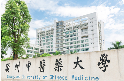 首席专家